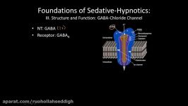 The GABA receptor  How does it work