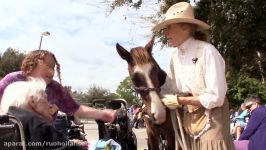 NURSING HOME RESIDENTS ARE AIDED BY EQUINE ASSISTED PSYCHOTHERAPY