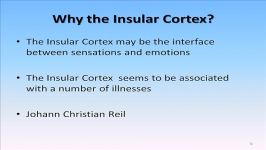 Insular Cortex Part 1a