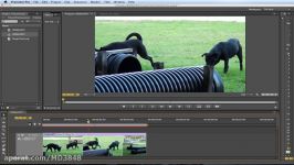 Premiere Pro  How to Freeze FrameFrame Hold