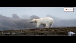 PLANET EARTH ice worlds part 11