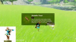 Heres What Every Amiibo Does in Zelda Breath of the Wild