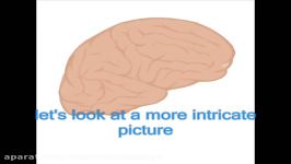 Wernicke Korsakoff syndrome