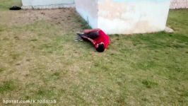 اسیب های پارکور داراب 2015 parkour fail 2016