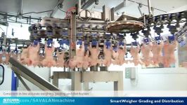 Stork Smartweigher Grading