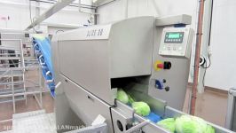 Food Automation presents Eillert BV Slice 30 cutting grading washing drying