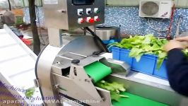 Vegetable cutting washing production line from Shenghui Machinery