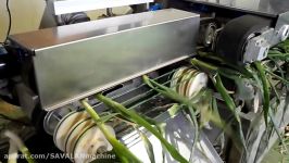 packaging صادرات پیازچه spring onion dry peeler대파탈피기