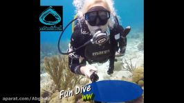 غواصی تفریحی یا FUN DIVE