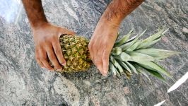 How to Grow a Pineapple Bush From a Fresh Store Pineapple.  