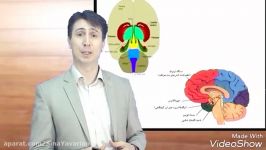 هیجان های ابتدایی بقا مقدمه ای بر کارگاه هوش هیجانی 4