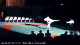 Aikido vs Karate