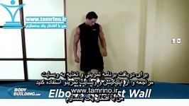 آموزش حرکت بلند کردن ساق پا آرنج در مقابل دیوار Calf Stretch Elbows Against Wall