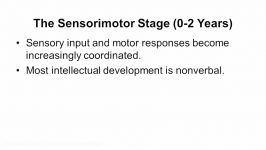 5.3 Developmental Theories