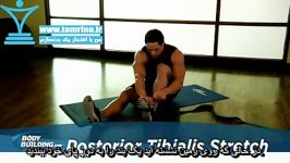 آموزش حرکت کشش مچ پا بند نشسته بخارج Posterior Tibialis Stretch