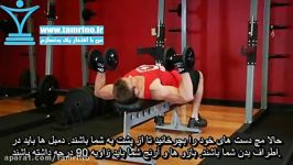 آموزش حرکت پرس سینه دمبل Dumbbell Bench Press