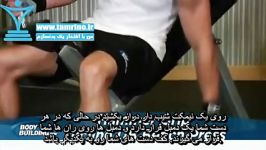 آموزش حرکت سینه دمبل چکشی نیمکت شیب دار Hammer Grip Incline DB Bench Press