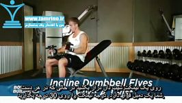 آموزش حرکت فلای دمبل نیمکت شیب دار چرخشی Incline Dumbbell Flyes  With A Twist