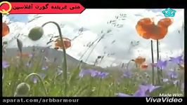 منی غربتده گورن آغلاسین علیرضا برمور