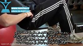 آموزش حرکت پل باسن روی توپ Physioball Hip Bridge