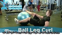 آموزش حرکت پشت ران درازکش روی توپ Ball Leg Curl