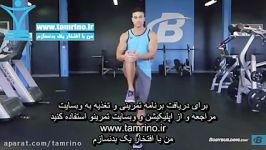 آموزش حرکت زانو به سمت سینه ایستاده Knee To Chest