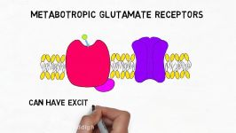 2 Minute Neuroscience Glutamate