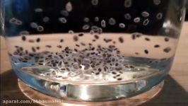 How To Make Chia Seeds Drink  آموزش درست کردن تخم شربتی