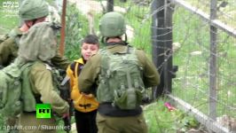 IDF grab 8yo Palestinian boy drag him away ‘to find stone throwers’ human rights group video shows