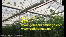 ساخت گلخانه هیدروپونیک گلخانه سازگلخانه اسپانیای