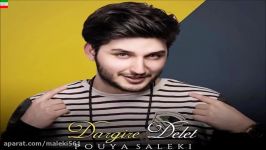 Pouya Saleki – Dargire Delet NEW 2017 آهنگ جدید بسیار زیبای پویا سالکی