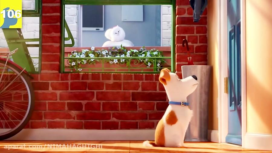 107 راز پنهان انیمیشن The Secret Life of Pets