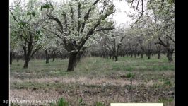 کلیپ بسیار زیبا ازروستای آقچایرزنهمدان وحید صفری