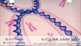 تفاوت سلول طبیعی سلول سرطانی  دکتر محمد هادیزاده