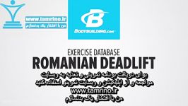 آموزش حرکت ددلیفت رومانیایی Romanian Deadlift