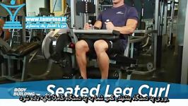 آموزش حرکت پشت ران نشسته روی دستگاه Seated Leg Curl