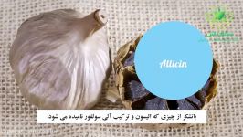 شش غذای مفید باعث بوی بد دهان میشود