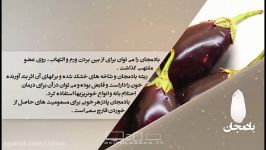 خواص غذایی درمانی بادمجان دانش تغذیه