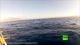 لحظه برخورد نهنگ غول پیکر قایق تفریحی
