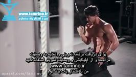 آموزش حرکت سیم کش زانو زده تک دست Kneeling Single Arm High Pulley Row