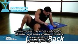 آموزش حرکت کشش عضله پایین کمر روی غلتک فومی Lower Back SMR