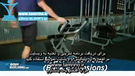 آموزش حرکت کشش میز فیله کمر Hyperextensions Back Extensions