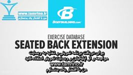 آموزش حرکت دستگاه کشش پشت کمر Seated Back Extension