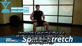 آموزش حرکت کشش ستون فقرات Spinal Stretch