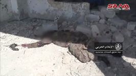 قلع وقمع تروریست های النصره درشمال حماه توسط ارتش سوریه