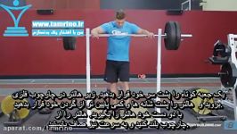 آموزش حرکت اسکوات هالتر روی یک جعبه کوتاه Barbell Squat To A Box