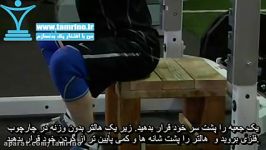 آموزش حرکت اسکوات وزن بدن روی جعبه Box Squat