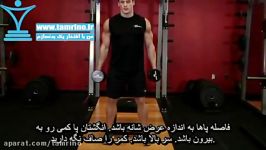 آموزش حرکت دمبل اسکوات روی جعبه Dumbbell Squat To A Bench