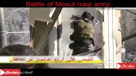 تسلیم شدن 4 داعشی بعد محاصره توسط نیروهای عراقی موصل