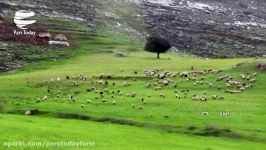 دیدنی؛ دشت سوسن در شهرستان ایذه